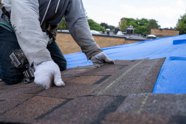 Best Roof Gutter Cleaning  in Merritt Park, NY
